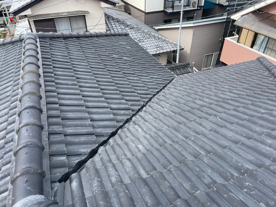 画像233
