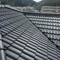 画像239