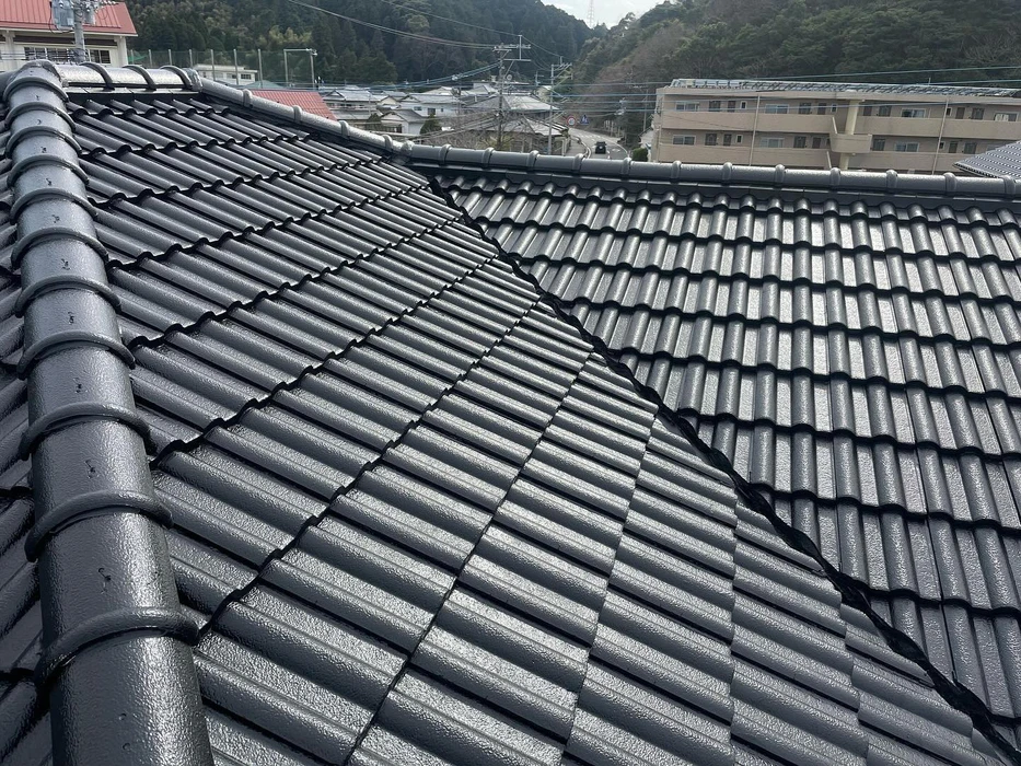 画像239